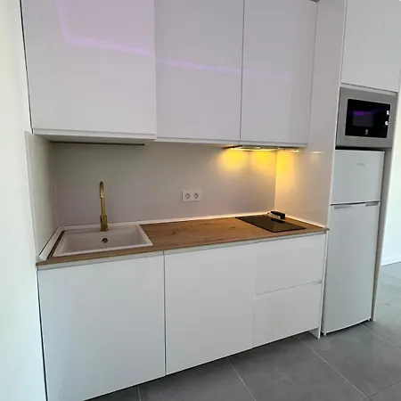 Apartment Panoramic View Paraiso 306